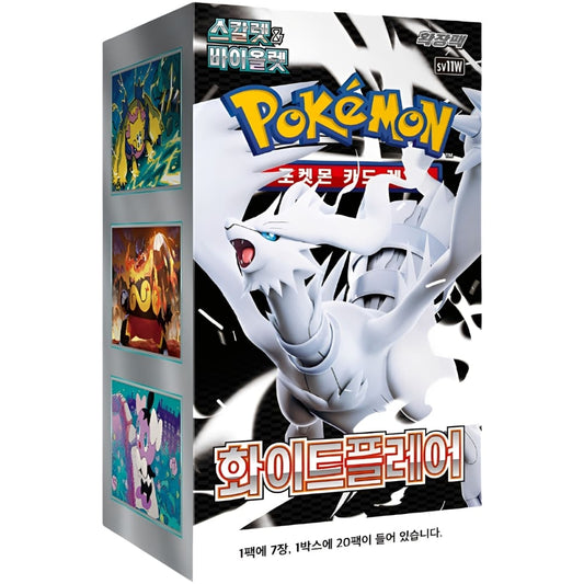 Pokemon White Flare Booster - Display Koreanisch